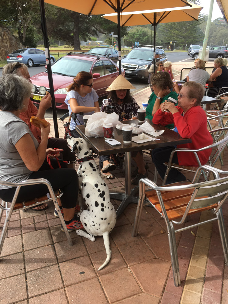 Tathra Bushfires 2018 photo 1