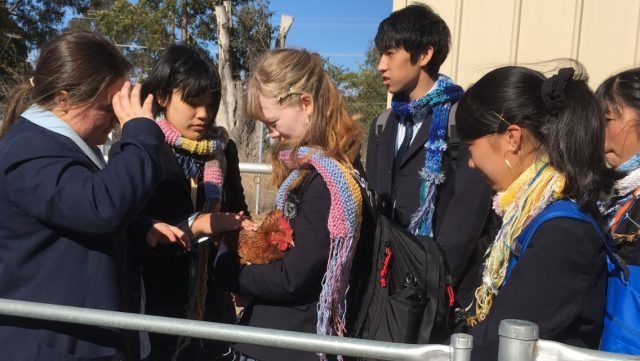 Shibetsu High School Students Visit Trinity College Goulburn